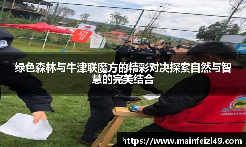 BB贝博登录入口