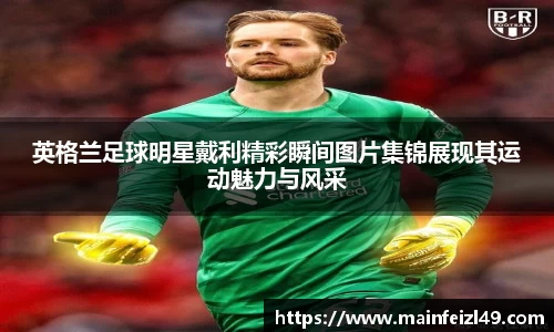 BB贝博登录入口